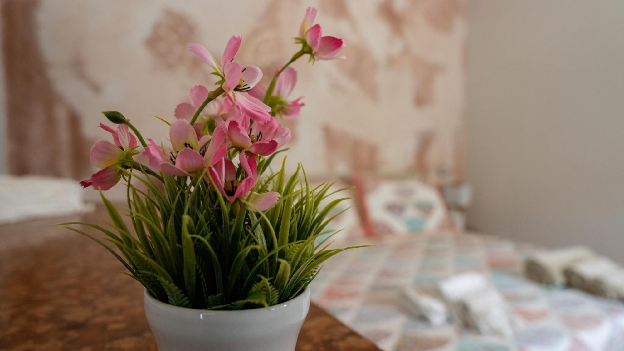 B&B Da Carmela Sant'Ambrogio sul Garigliano 外观 照片